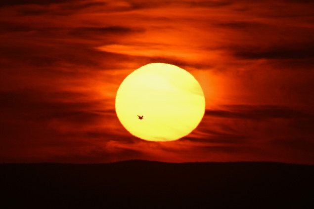 SMO: El Nino bi mogao dostići rekordnu snagu uz rast globalnih temperatura i vremenskih rizika