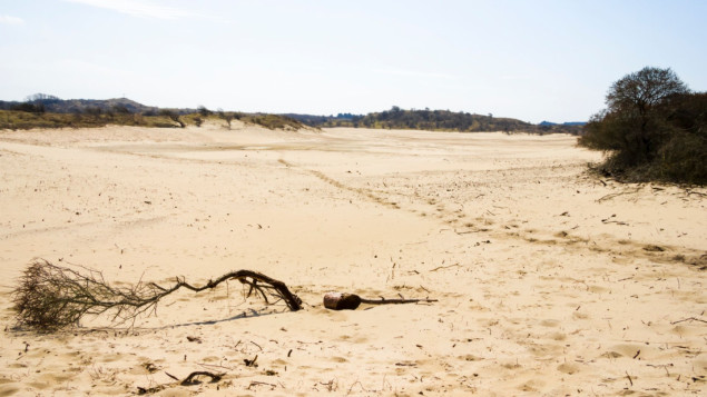 U sušom pogođenoj Keniji uginulo više od 200 slonova, stotine zebri i gnuova