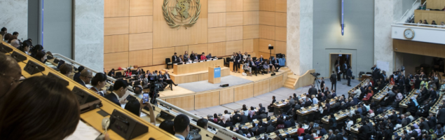 Počelo zasjedanje Svjetske zdravstvene skupštine pod sloganom "Jedan svijet za zdravlje"