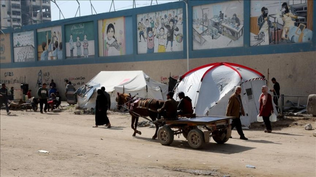 Gaza bilježi nagli porast kožnih bolesti usred jakog toplotnog talasa