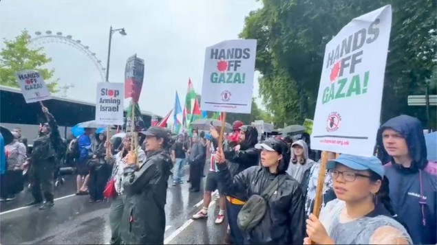 U Londonu na maršu za Palestinu 55 privedenih osoba