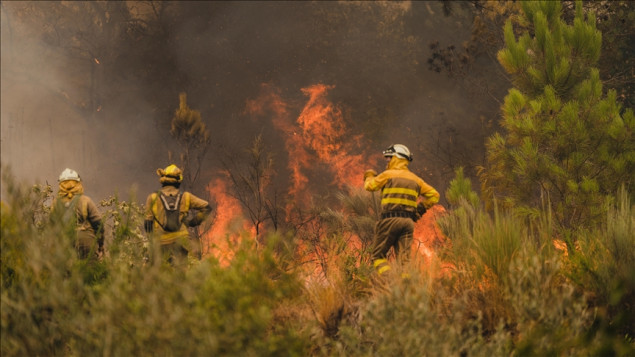Španija: Vatrogasci se bore s požarom u Ourenseu