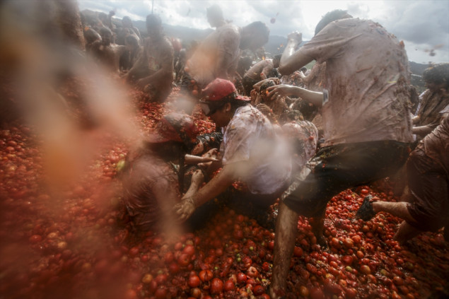 Na "La Tomatina" festivalu u Kolumbiji gađali se s 35 tona paradajza