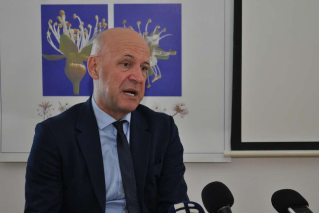 Uvođenjem novih sorti trešnje potaknuti proizvodnju i izvoz tog voća