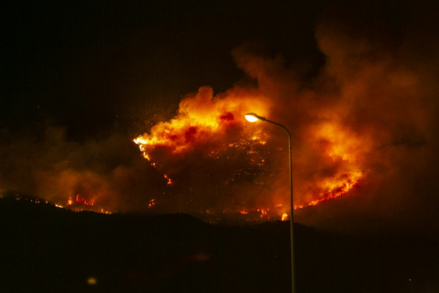 Vatrogasci u Tunisu se bore sa velikim šumskim požarom