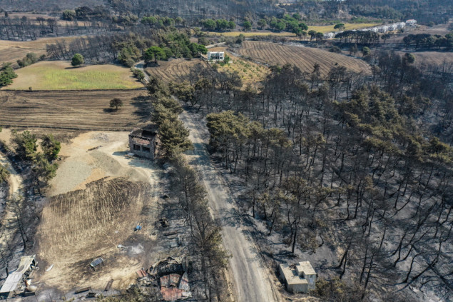 Šumski požari u sjeverozapadnoj i centralnoj Turskoj stavljeni pod kontrolu