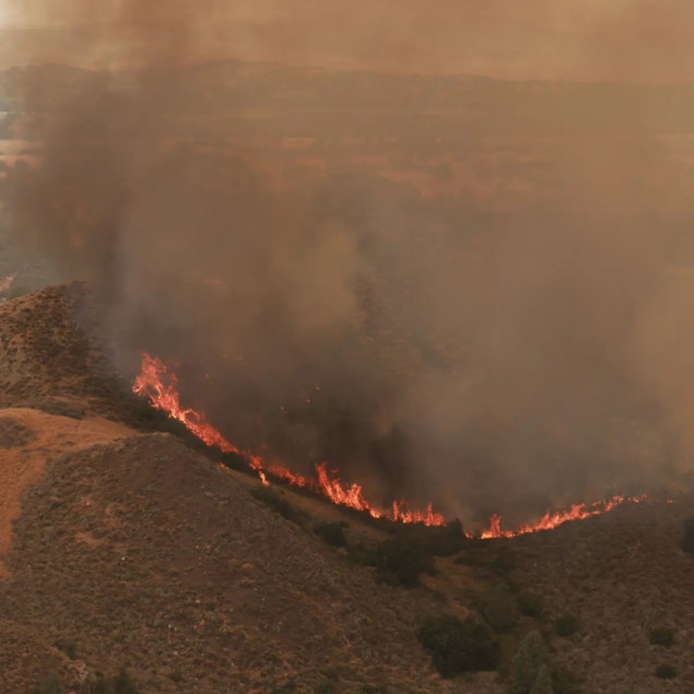Aktivno desetine požara: Ekstremne vrućine u SAD-u uzrokovale četiri smrtna slučaja
