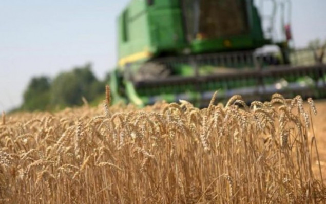 Ministarstvo poljoprivrede: Ukrajina izgubila četvrtinu obradivih površina