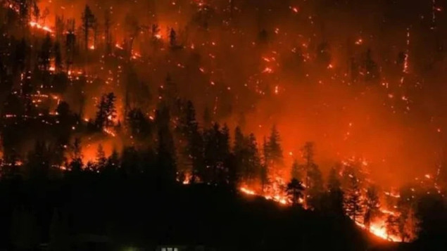 Klimatske promjene nisu daleka prijetnja, one utiču na živote i ekosisteme