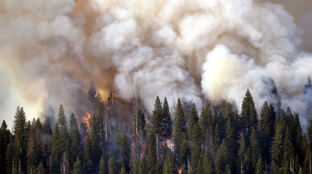 Vatra u parku Yosemite prijeti da ugrozi sekvoje