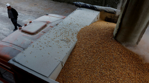 Ukrajina: Luke za izvoz žita bice spremne za dvije sedmice