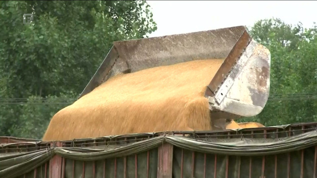 Zemlje EU-a postigle dogovor s Ukrajinom, izvoz žitarica neće biti ometen