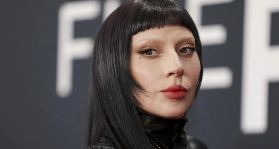 Australijanac koji je napao Arianu Grande izbačen s koncerta Lady Gage u Brisbaneu