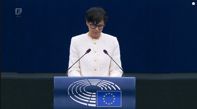 Evropski parlament: Rasprava o sahrani ratnog zločinca Ratka Mladića