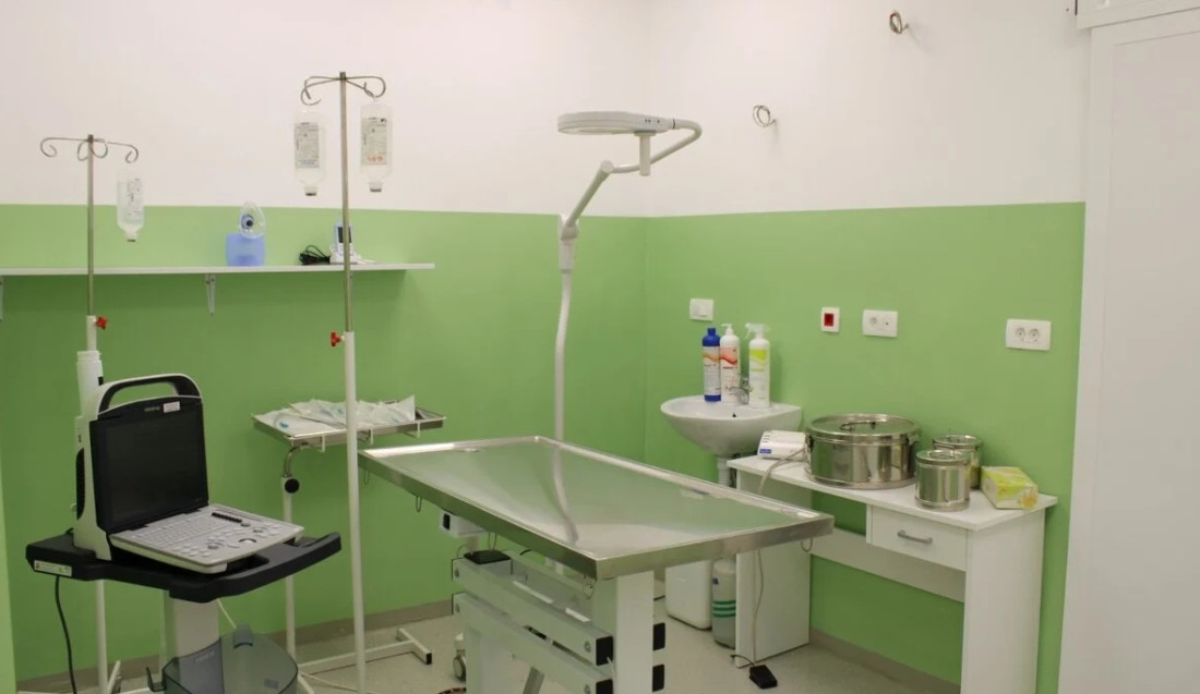Tri godine rada Urgentnog centra za male životinje, ostvareni značajni rezultati