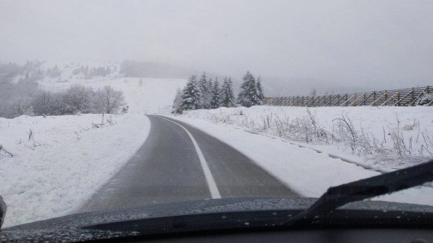 U Srbiji vanredna situacija u pet opština, putevi u većem dijelu zemlje prohodni, problemi sa strujom