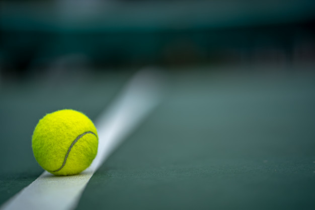 Džumhur i Bašić u 2. kolu ATP Challengera u Nottinghamu i Almatyju