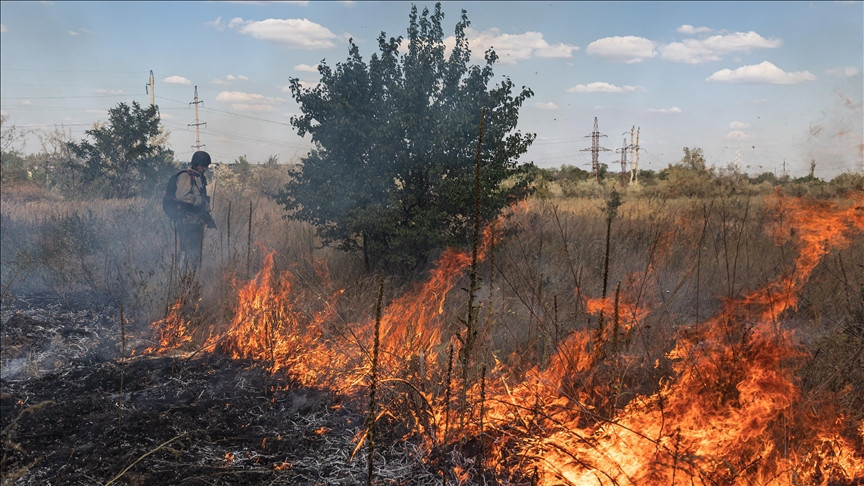 Namibija raspoređuje vojsku u borbu protiv požara u Nacionalnom parku Etosha