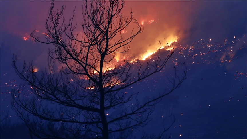 Sjeverna Makedonija: Snažan požar prijeti gradu Kočani