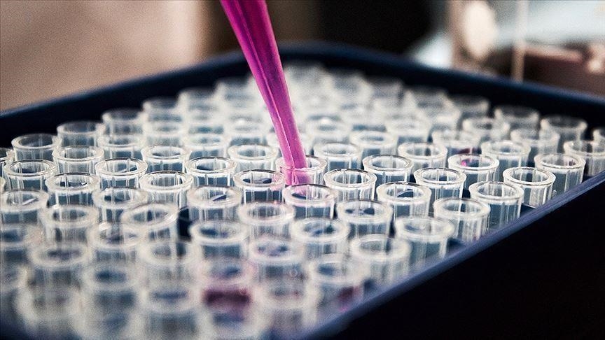 U FBiH i Brčkom 147 slučajeva zaraze, podaci iz RS-a nakon praznika