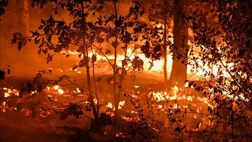 Toplotni val podstiče šumske požare širom jugozapadnog SAD-a, izazivajući masovne evakuacije