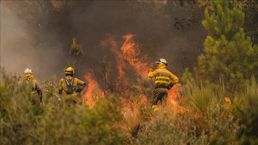 Španija: Vatrogasci se bore s požarom u Ourenseu
