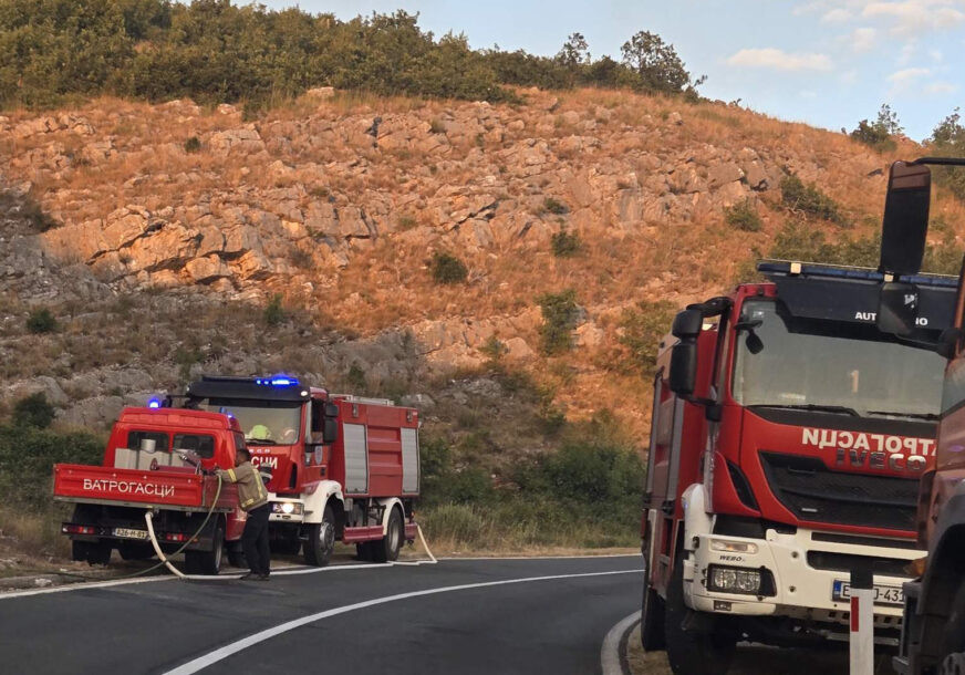 Stabilna situacija na požarištima kod Trebinja