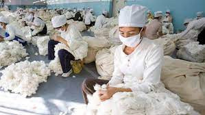 SAD zabranio uvoz iz 26 kineskih firmi zbog sumnji na prisilni rad Ujgura