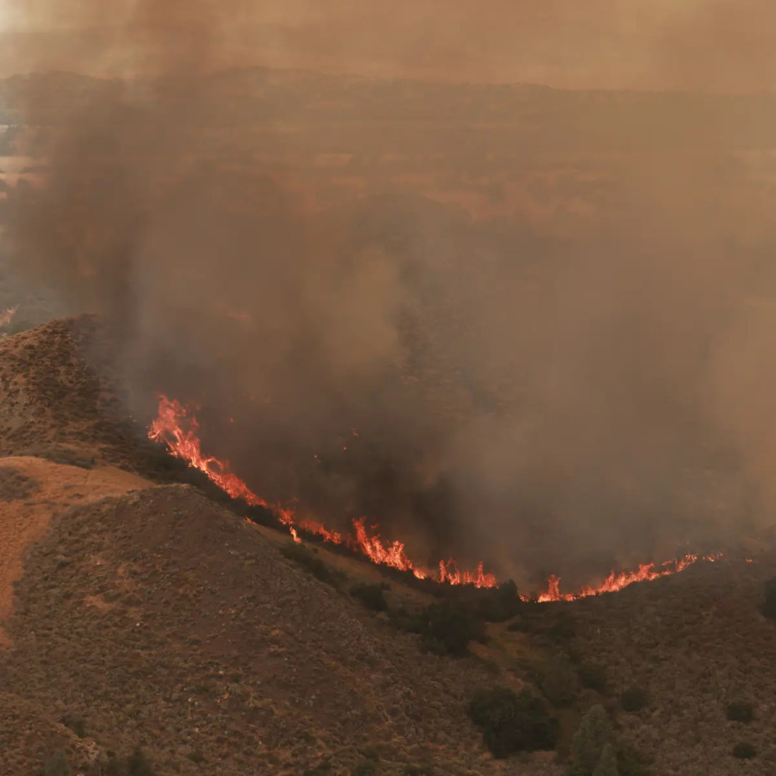 Aktivno desetine požara: Ekstremne vrućine u SAD-u uzrokovale četiri smrtna slučaja