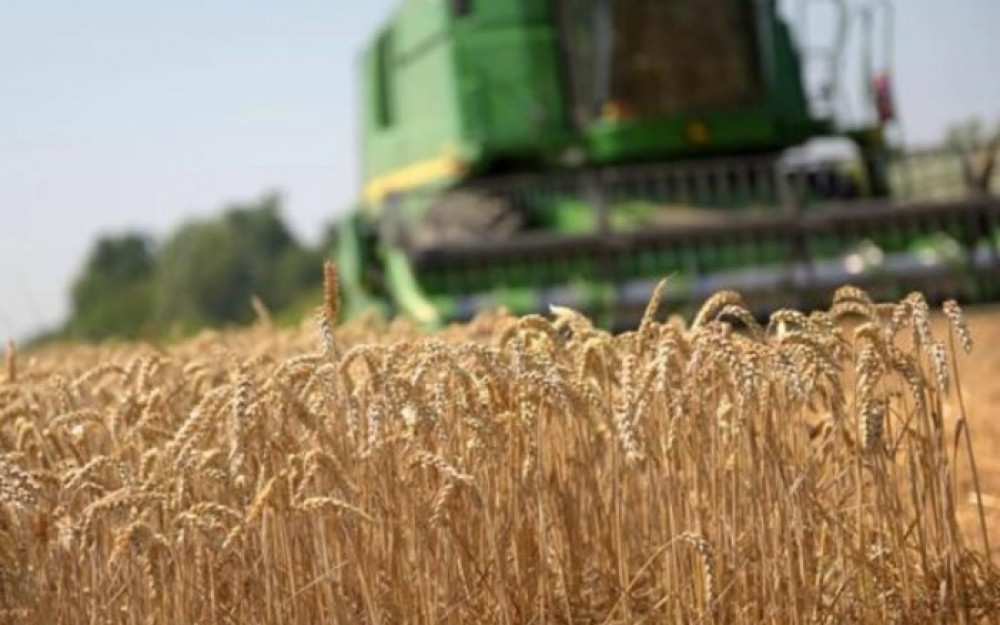 Ministarstvo poljoprivrede: Ukrajina izgubila četvrtinu obradivih površina