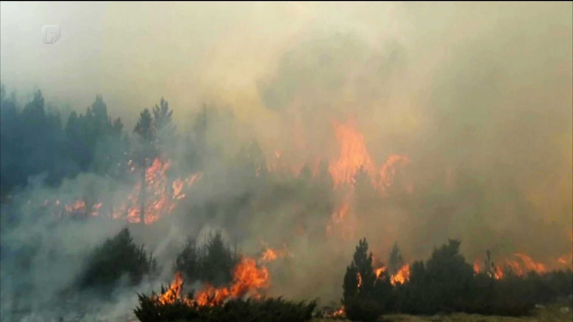 Gori kod Tomislavgrada, vatra prijeti kućama