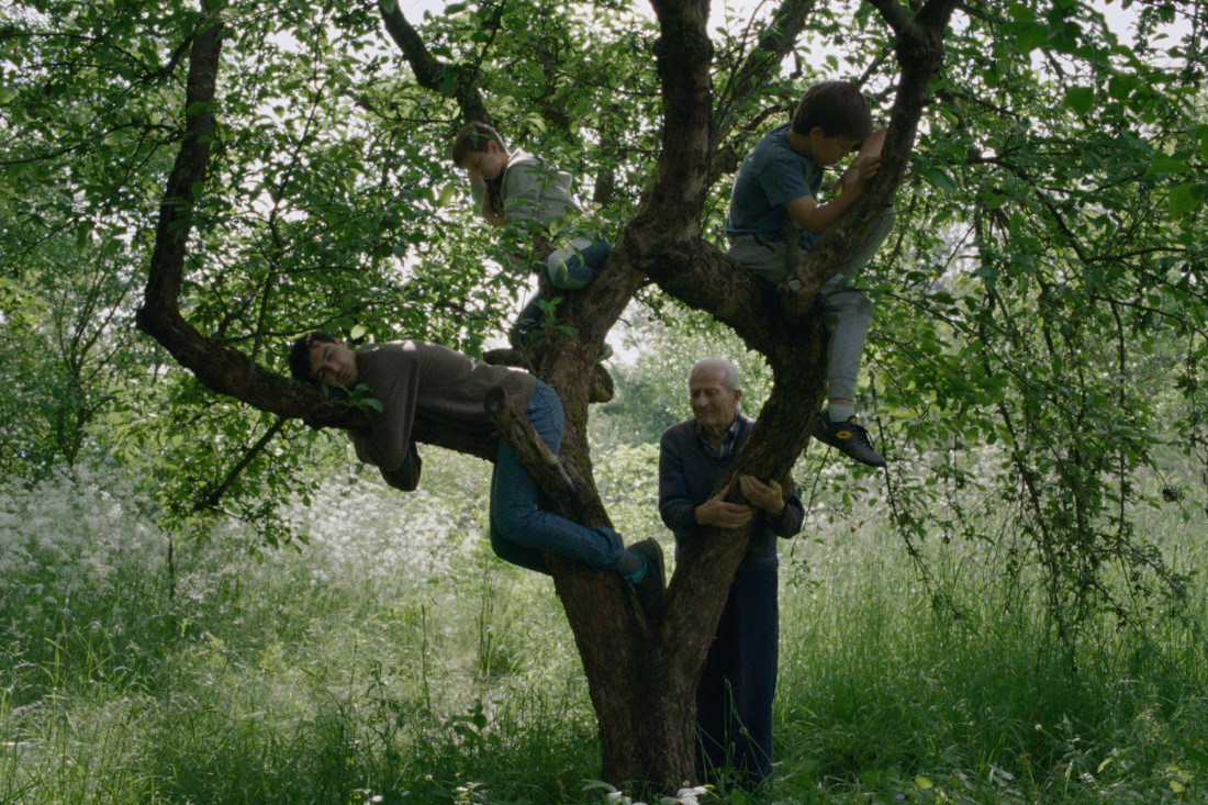 Na 31. SFF-u regionalna premijera filma Stefana Đorđevića „Vetre, pričaj sa mnom"