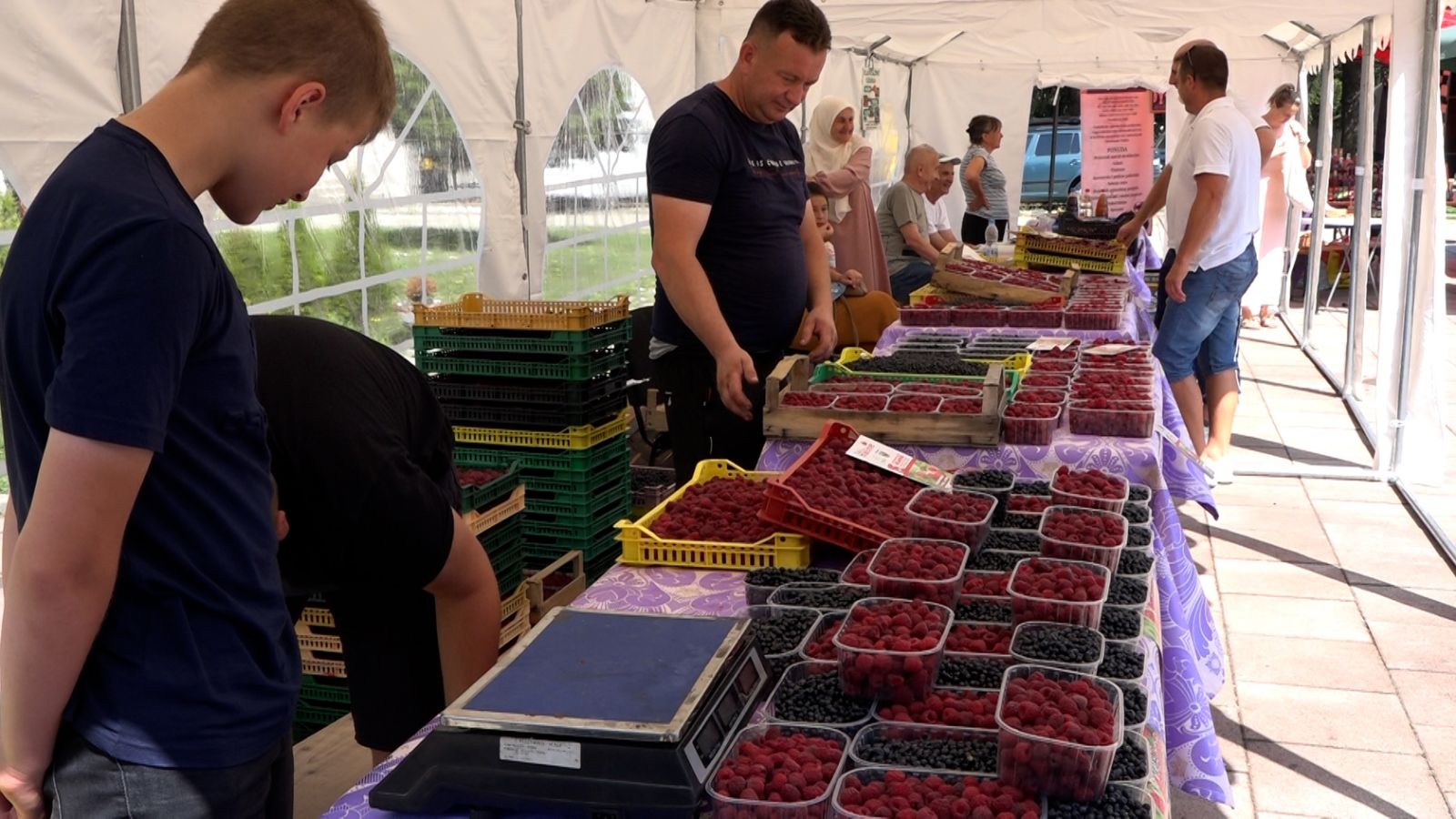 Poljoprivrednici izložili proizvode na sajmu "Dani maline" u Novom Travniku