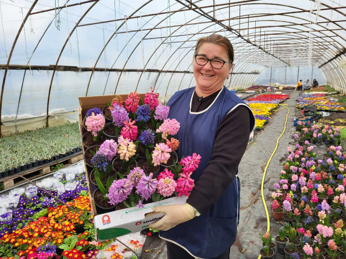 Kad uzgoj cvijeća iz čiste ljubavi postane unosan posao