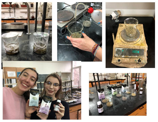 Tuzlanske učenice u Indoneziji nagrađene zlatnom medaljom