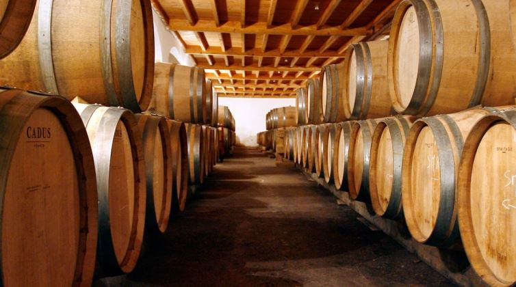 Francuska izdvaja 200 miliona eura za uništavanje zaliha vina, sve više ljudi pije kraft pivo