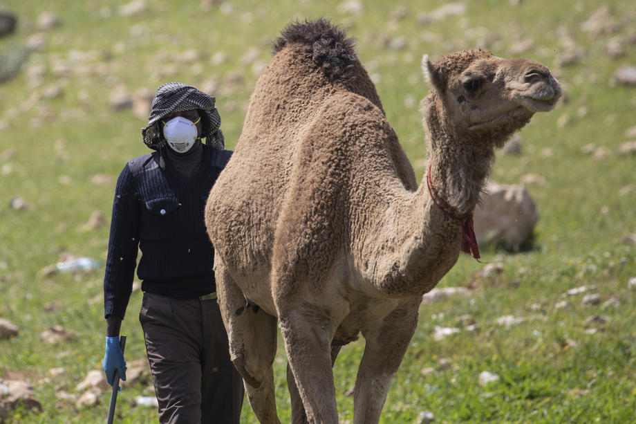 Saudijska Arabija - Kamile diskvalifikovane s takmičenja ljepote zbog botoksa
