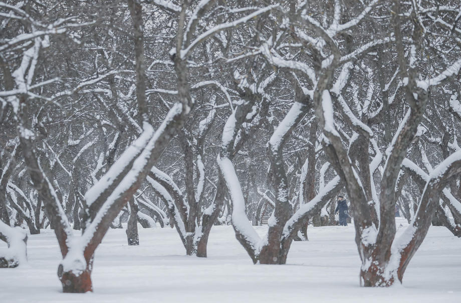 Meteoalarm proglašen za cijelu BiH