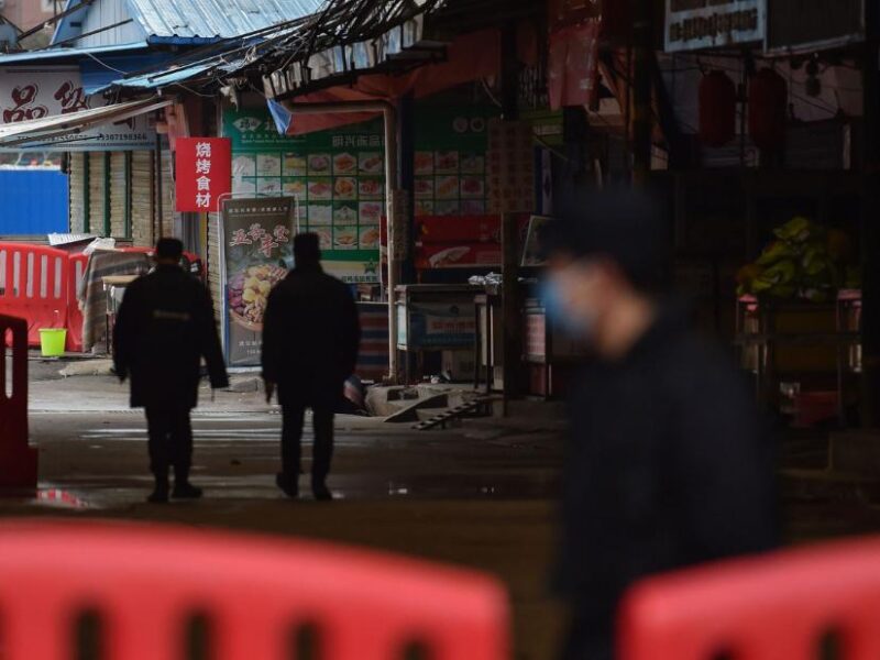 WHO: Virus vjerojatno prešao na ljude sa šišmiša preko neke životinje