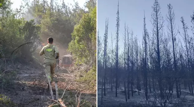 Veliki šumski požar u Izmiru stavljen pod kontrolu
