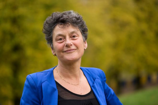 Strik: Schmidt će morati objasniti razloge izmjene Ustava FBiH izborne noći