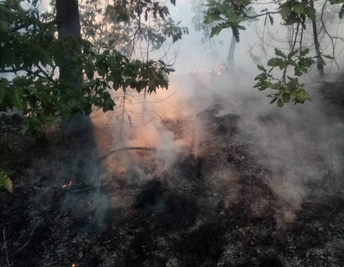 Vatrogasci se i dalje bore sa požarom na Vrbanjskim brdima kod Banjaluke