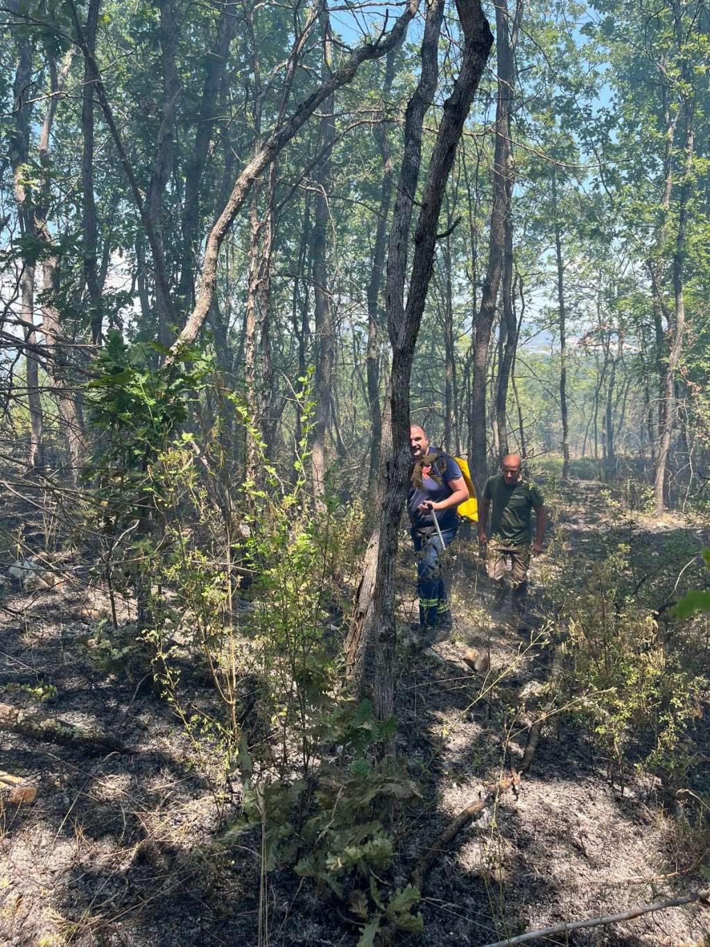 Požar iznad Ljutog Doca, u gašenju pomaže Air Tractor