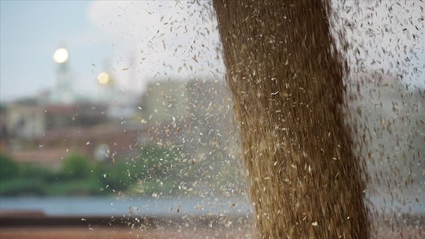 U Ukrajini se na još šest brodova utovaraju žitarice