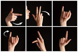 Bosna i Hercegovina nema registar tumača znakovnog jezika