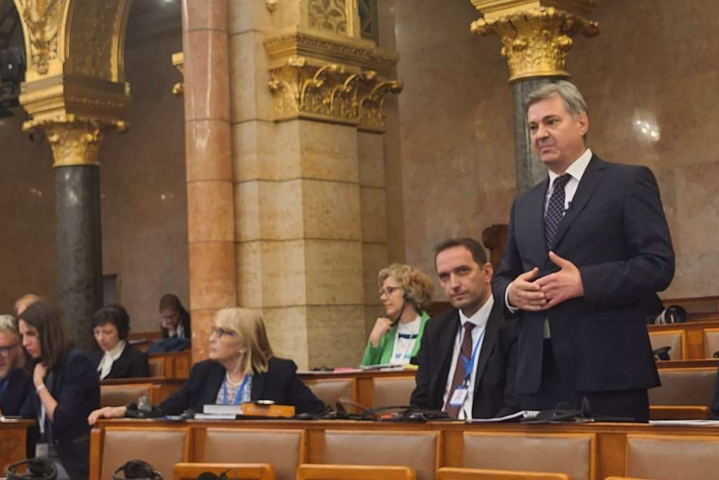 Zvizdić u Budimpešti na konferenciji predsjednika parlamenata EU
